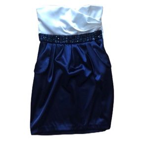 Navy and White Dress